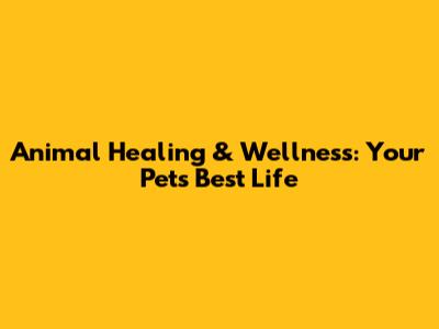 Animal Healing & Wellness: Your Pet's Best Life