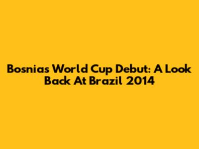 Bosnia's World Cup Debut: A Look Back At Brazil 2014