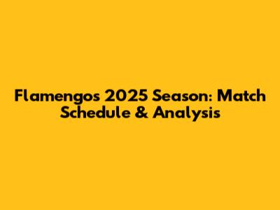 Flamengo's 2025 Season: Match Schedule & Analysis