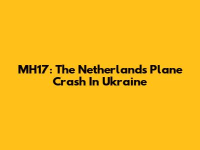 MH17: The Netherlands Plane Crash In Ukraine